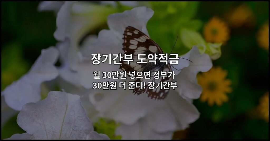 월 30만원 넣으면 정부가 30만원 더 준다! 장기간부 도약적금 신청 완벽 가이드